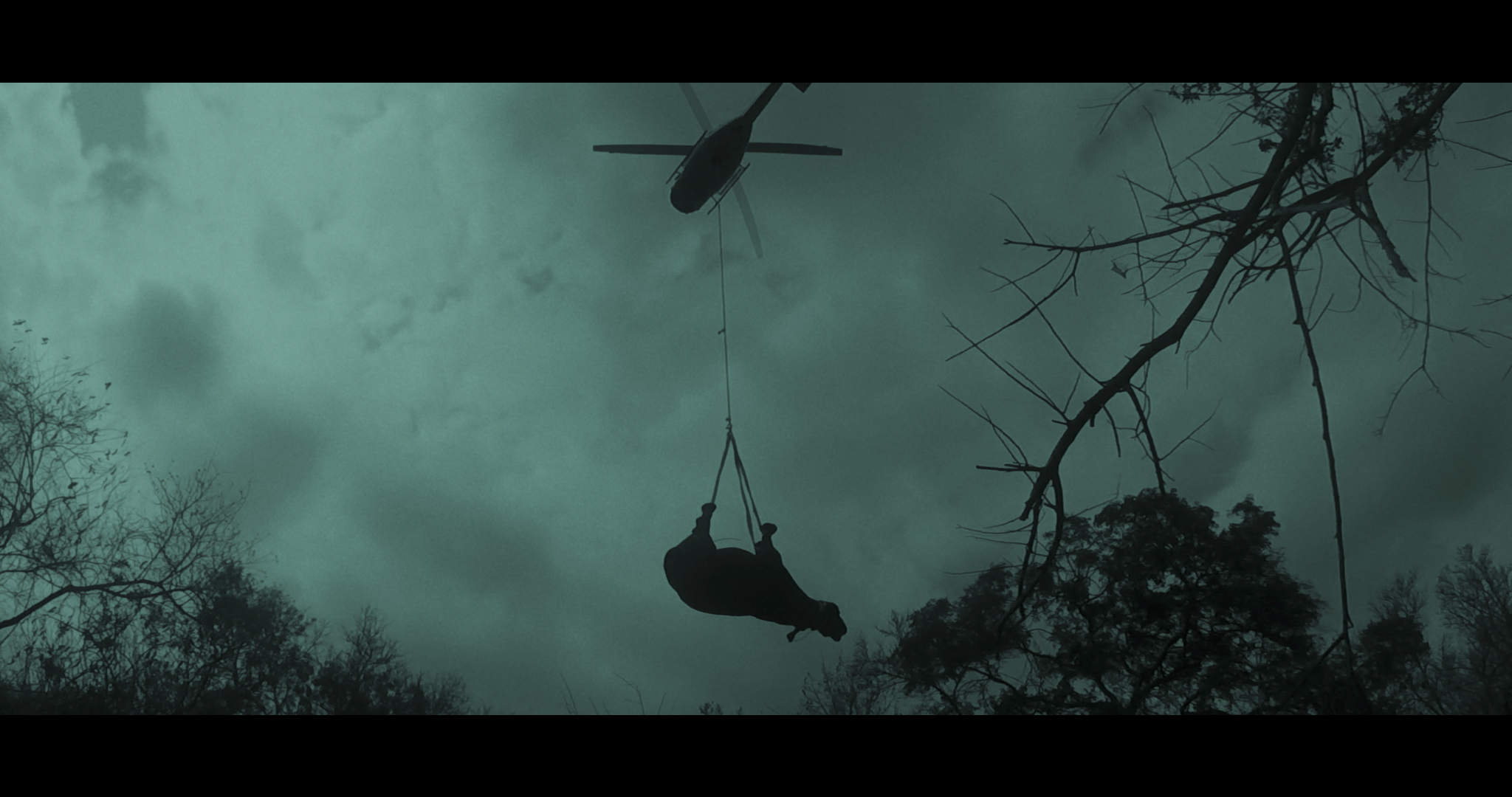 Still from Surrender Your Horns. Image Description: A silhouette of what looks like a dead cow or bull is being carried by a helicopter. 